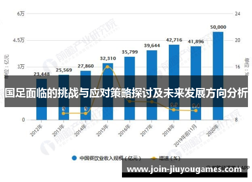 国足面临的挑战与应对策略探讨及未来发展方向分析